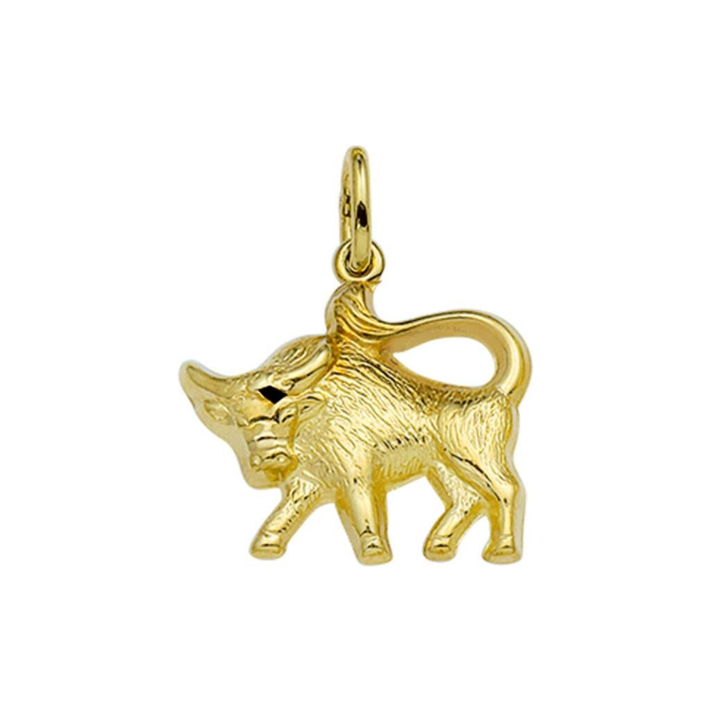 Gouden sterrenbeeld hanger STIER - 14 karaat goud, Nieuw, Ophalen of Verzenden, Kruis of Symbool, Goud