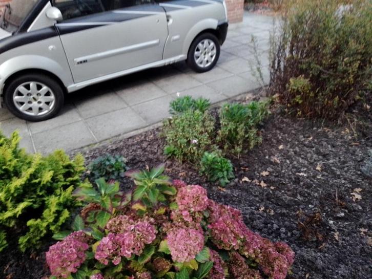 Microcar M GO  45 km, Diversen, Brommobielen en Scootmobielen, Gebruikt, Microcar, 46 km of meer, 16 km/u of meer, Ophalen