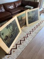 Vintage oude schoolplaten met dieren en natuur boerman, Antiek en Kunst, Antiek | Schoolplaten, Ophalen of Verzenden, Natuur en Biologie