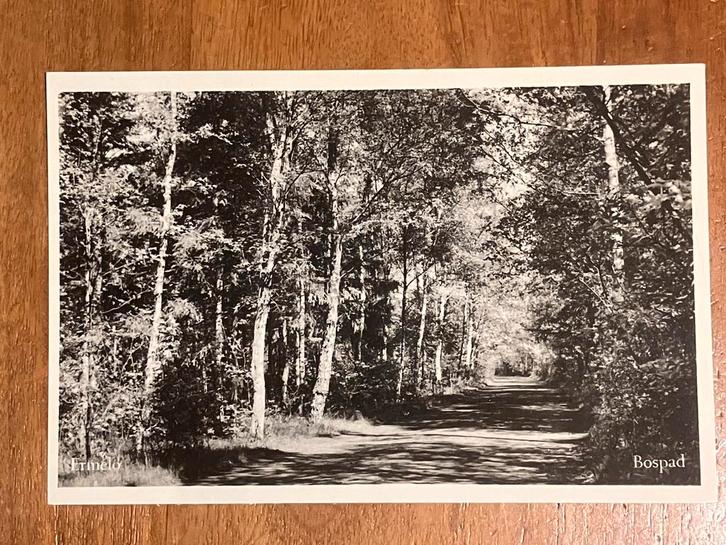 Ermelo Bospad, Verzamelen, Ansichtkaarten | Nederland, Ongelopen, Gelderland, 1940 tot 1960, Ophalen of Verzenden