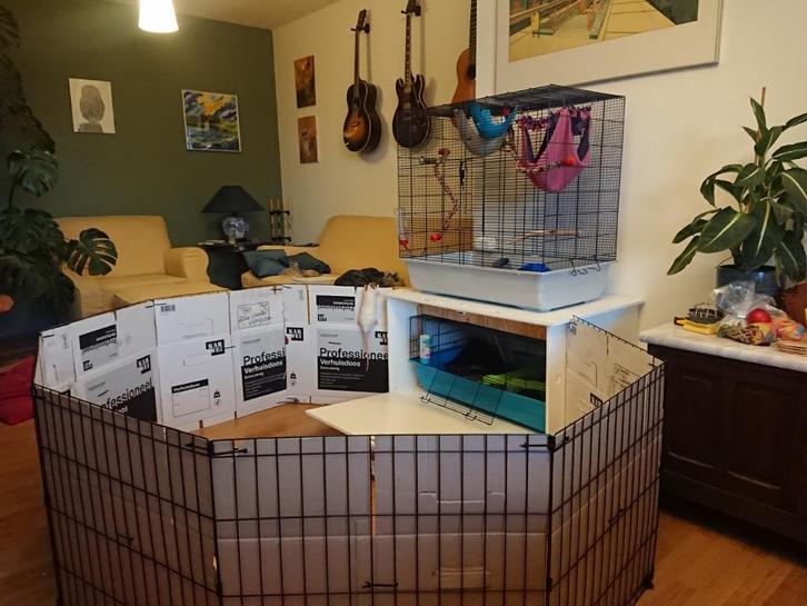 Super groot en compleet ratten hok, Dieren en Toebehoren, Knaagdieren en Konijnen | Hokken en Kooien, Gebruikt, Hok, 90 cm of meer