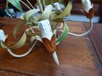 Franse hanglamp met 5 lichtpunten, Antiek en Kunst, Antiek | Lampen, Ophalen of Verzenden