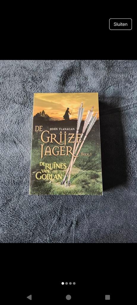 De Grijze Jager - De Ruïnes van Gorlan (Boek 1), Boeken, Fantasy, Zo goed als nieuw, Ophalen of Verzenden