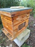 Pure Imker Honing, Ophalen of Verzenden