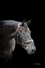 Hoofdstel, Dieren en Toebehoren, Ophalen of Verzenden