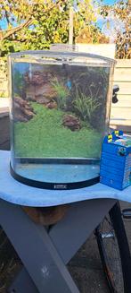 Tetra Aqua Art Explorer Line - Aquarium - 60 liter - Zwart, Dieren en Toebehoren, Vissen | Aquaria en Toebehoren, Ophalen, Gebruikt