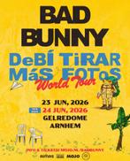 Standing ticket Bad Bunny, Eén persoon
