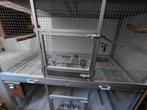 Nieuwstaat aluminium broed/kweek/vogel/parkiet/papegaai-kooi, Ophalen, Zo goed als nieuw, Aluminium, Broedkooi of Kweekkooi