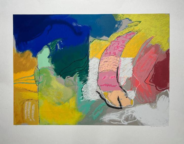 Zeefdruk Henk van Vessem, Antiek en Kunst, Kunst | Litho's en Zeefdrukken, Ophalen of Verzenden