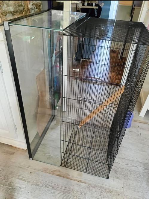 Mooi ruim knaagdier verblijf, Dieren en Toebehoren, Knaagdieren en Konijnen | Hokken en Kooien, Zo goed als nieuw, Minder dan 60 cm