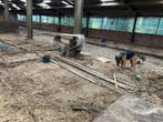 R. Boxen, Dieren en Toebehoren