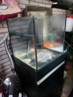 Aquarium, Dieren en Toebehoren, Vissen | Aquaria en Toebehoren, Ophalen, Zo goed als nieuw, Leeg aquarium
