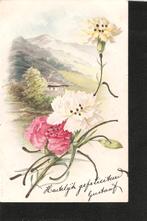 Bloemen 1903, Verzamelen, Ophalen of Verzenden, Voor 1920, Gelopen, Natuur