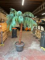 Kunst Palmboom - Sfeermaker voor Binnen & Buiten!, Huis en Inrichting, Ophalen, Zo goed als nieuw, Binnen