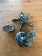 Riverdale Decoratie Schelpen Set - 3 Stuks, Ophalen of Verzenden