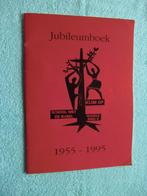 Jubileumboek - School met de Bijbel 1955-1995 - Nagele, Boeken, Geschiedenis | Stad en Regio, Ophalen of Verzenden, Zo goed als nieuw