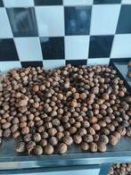 Verse walnoten van eigen oogst - €4/kilo, Ophalen of Verzenden