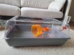 Hamsterkooi met gratis voeding en houtvezelsnippers, Dieren en Toebehoren, Kooi, Minder dan 75 cm, Zo goed als nieuw, Hamster