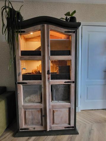 Cavia of hamsterhok  beschikbaar voor biedingen