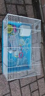 Complete hamster kooi, Dieren en Toebehoren, Kooi, Minder dan 75 cm, Zo goed als nieuw, Hamster