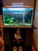 Aquarium +meubel, Dieren en Toebehoren, Vissen | Aquaria en Toebehoren, Ophalen, Leeg aquarium