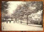 Hilversum Steijnlaan (reprint), Ophalen of Verzenden, Voor 1920, Noord-Brabant