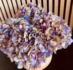 Hortensia’s & Terracotta pot prachtig  🌸  spotprijsje !, Huis en Inrichting, Ophalen, Nieuw