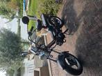 Tomos youngster, Fietsen en Brommers, Brommers | Tomos, Ophalen, Zo goed als nieuw, Standard