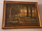 Schilderij: Schaap in het Bos, Antiek en Kunst, Ophalen of Verzenden