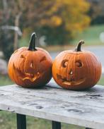 Pompoenen, Hobby en Vrije tijd, Ophalen, Zo goed als nieuw, Halloween of Griezel