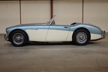 Austin Healy 100/6 BN6 1958 in concoursstaat! beschikbaar voor biedingen