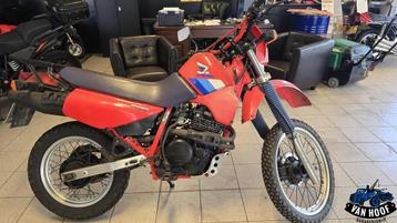 Honda XL 600 RM - 1987 elektrische starter beschikbaar voor biedingen