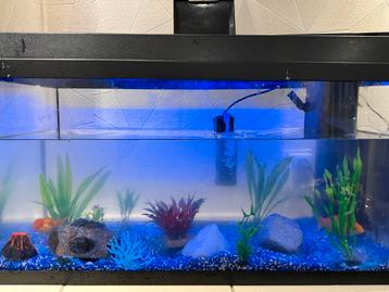 Complete aquariumset met 5 vissen + pomp en alle toebehoren beschikbaar voor biedingen