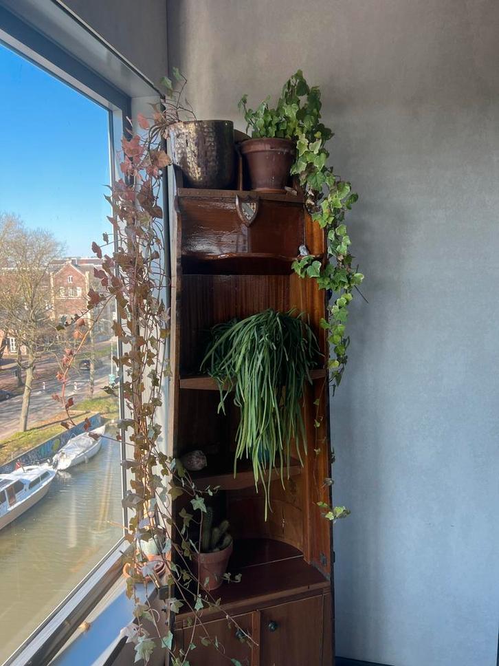 Unieke antieke bootkast, handgemaakt, Huis en Inrichting, Kasten | Boekenkasten, Gebruikt, 50 tot 100 cm, 100 tot 150 cm, 25 tot 50 cm