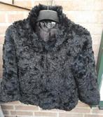 chic zwart jasje, Maat 38/40 (M), Zwart, Ophalen of Verzenden, Zo goed als nieuw