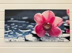 Schilderij orchidee canvas, Ophalen, Nieuw, Print, 75 tot 100 cm