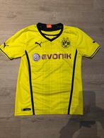Borussia Dortmund shirt, Sport en Fitness, Voetbal, Maat S, Ophalen of Verzenden, Zo goed als nieuw, Shirt