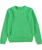 Trui gillis crisp green van MOLO maat 134/140 #NIEUW#, Kinderen en Baby's, Kinderkleding | Maat 140, Nieuw, Meisje, Trui of Vest