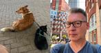 Tijdelijke woonruimte gezocht – met hond & kat (Rijswijk/Den, Huizen en Kamers, Op zoek naar een huis