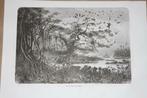 Antieke gravure - Oevers rivier Zambezi (Afrika)  - 1872 !!, Ophalen of Verzenden