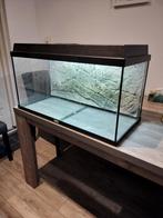Aquarium 120L - 80x40x35, Dieren en Toebehoren, Ophalen of Verzenden, Leeg aquarium