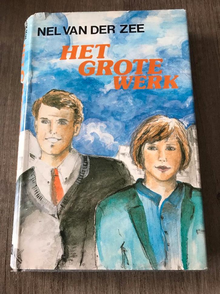 Nel van der Zee - Het grote werk, Boeken, Romans, Gelezen, Ophalen of Verzenden