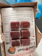 Discus stendker goodheart  9 blisters, Dieren en Toebehoren, Vis