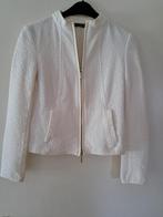 heel mooi damesjasje pennyblack maat S z.g.a.n., Kleding | Dames, Ophalen of Verzenden, Zo goed als nieuw, Maat 38/40 (M)