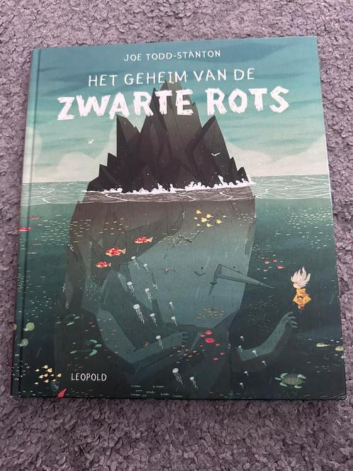 Joe Todd-Stanton - Het geheim van de Zwarte Rots, Boeken, Prentenboeken en Plaatjesalbums, Gelezen, Ophalen of Verzenden