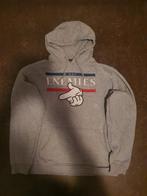 Mister tee enemies hoodie warme trui XL, Kleding | Heren, Maat 56/58 (XL), Ophalen of Verzenden, Zo goed als nieuw, Grijs