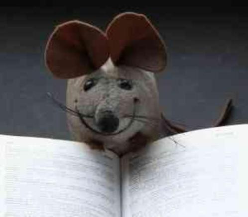 Boekenmuis div literatuur boeken lezen voor je lijst, Boeken, Literatuur, Zo goed als nieuw, Nederland, Ophalen of Verzenden