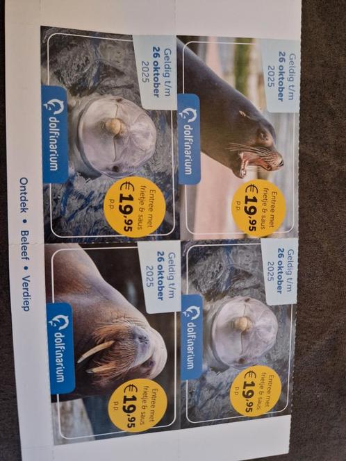 Entree Dolfinarium Harderwijk, Tickets en Kaartjes, Recreatie | Pretparken en Attractieparken, Drie personen of meer, Kortingskaart