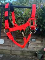 Halster oranje met halstertouw, Dieren en Toebehoren, Paarden en Pony's | Hoofdstellen en Tuigage, Ophalen of Verzenden, Nieuw