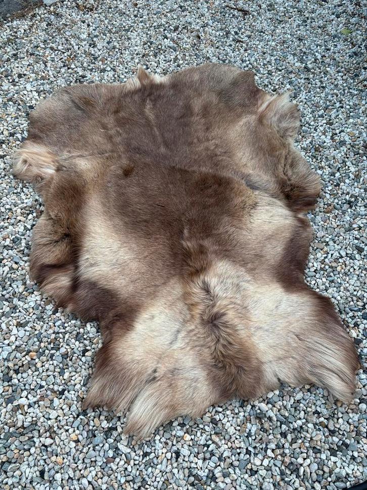 Rendierhuid - Decoratief Tapijt, Huis en Inrichting, Stoffering | Tapijten en Kleden, Zo goed als nieuw, 100 tot 150 cm, 100 tot 150 cm